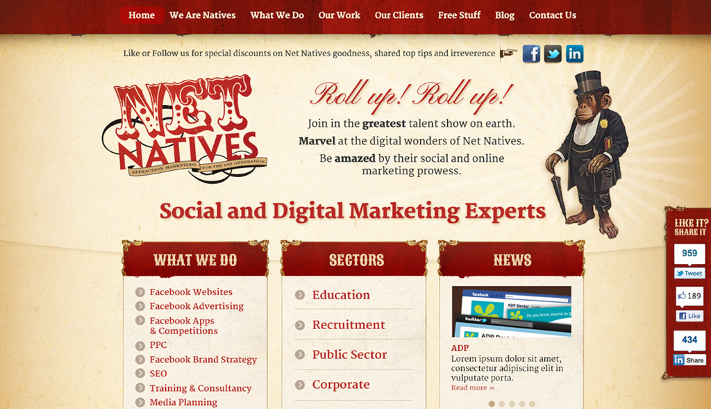 Website design for Net Natives
